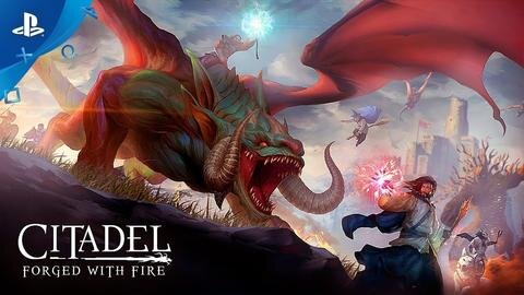 Citadel: Forged with Fire