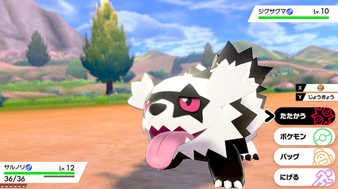 Pokemon Galar Region Zigzagoon