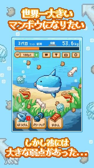 Protect, feed and raise your own Fish with, Sunfish Survival Game